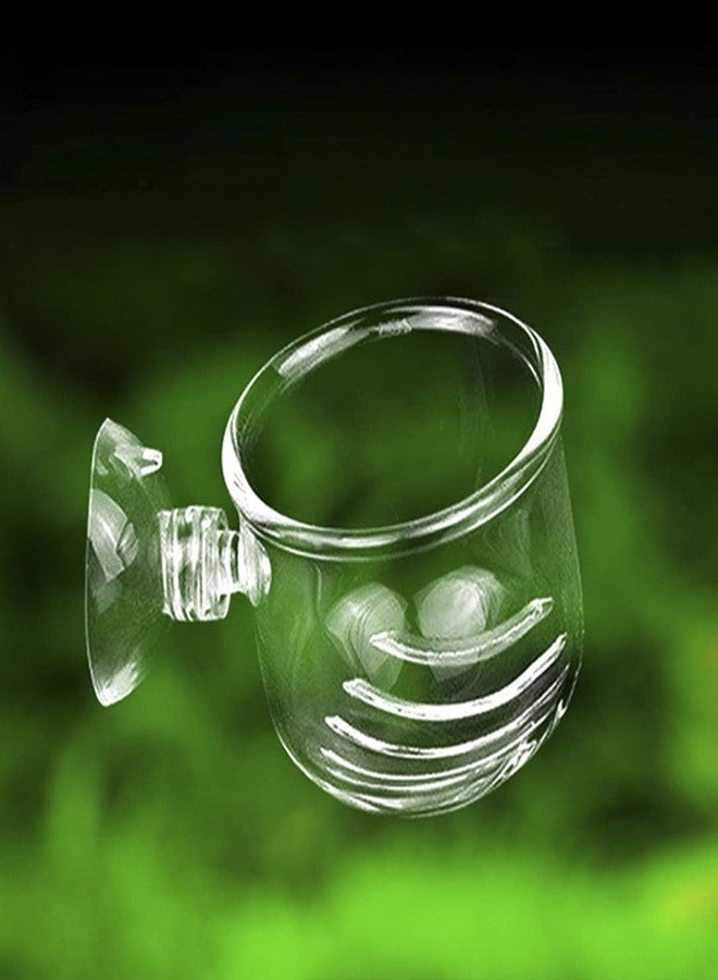 Caylingdee Glass Aquarium Red Worm Fish Feeder Cone Feeder Red Worm Fish Tank Plant Shrimp Feeder Cup Fish Feeding Cup with Suction for Aquarium Fish Tank - Image 3